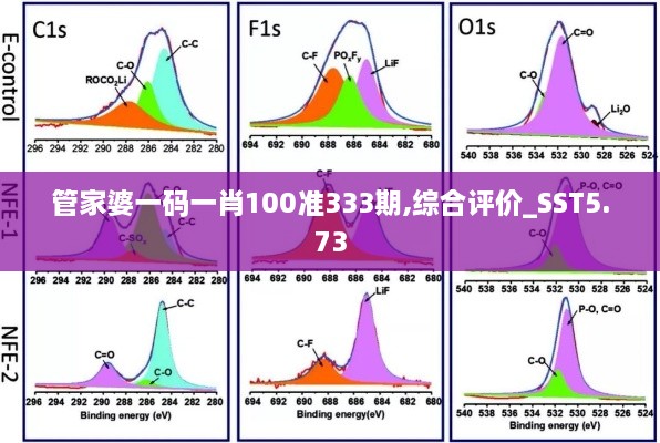 管家婆一码一肖100准333期,综合评价_SST5.73