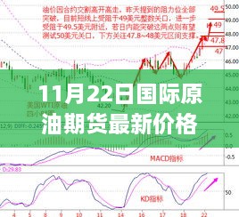 11月22日国际原油期货价格动态与心灵探寻宁静之旅，新视界与自然的微笑