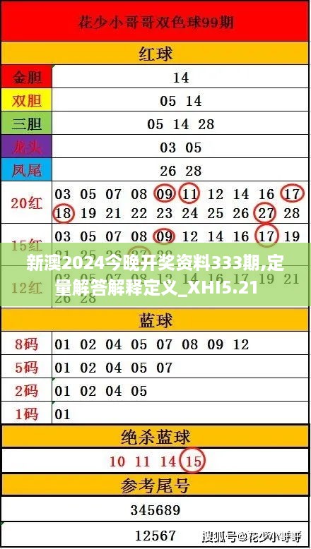 新澳2024今晚开奖资料333期,定量解答解释定义_XHI5.21