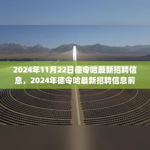 2024年德令哈最新招聘信息一览