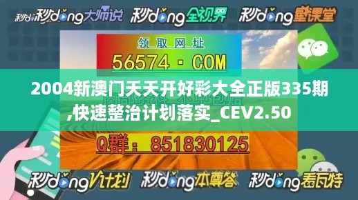 2004新澳门天天开好彩大全正版335期,快速整治计划落实_CEV2.50