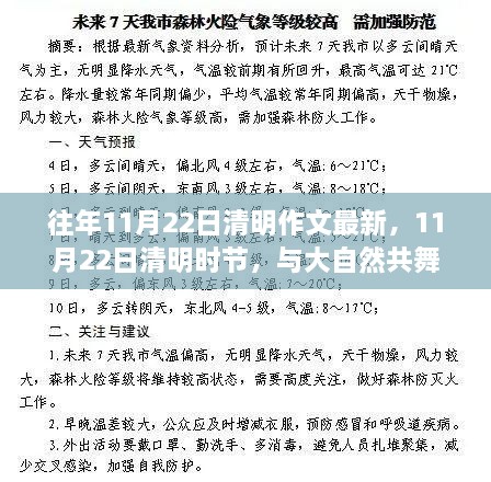 11月22日清明时节，与大自然的共舞和感悟作文分享