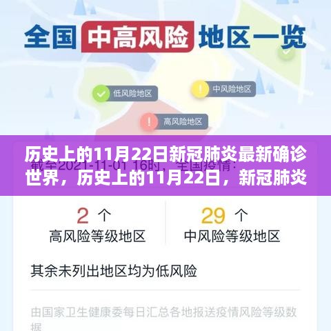 历史上的11月22日，新冠肺炎全球确诊深度分析与评测