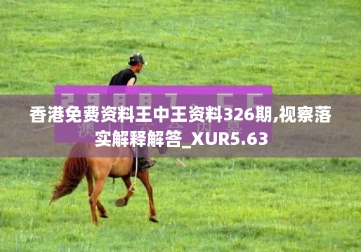 香港免费资料王中王资料326期,视察落实解释解答_XUR5.63