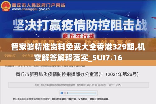 管家婆精准资料免费大全香港329期,机变解答解释落实_SUI7.16