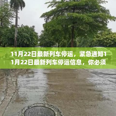 11月22日最新列车停运，紧急通知11月22日最新列车停运信息，你必须要知道的小细节！