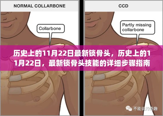 历史上的11月22日，锁骨头技能的详细步骤指南与最新动态