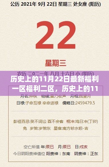 历史上的11月22日，一区福利与二区的演变与影响探索