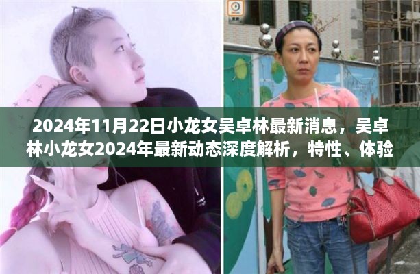 吴卓林小龙女最新动态深度解析，特性、体验、竞品对比与用户反馈（2024年）