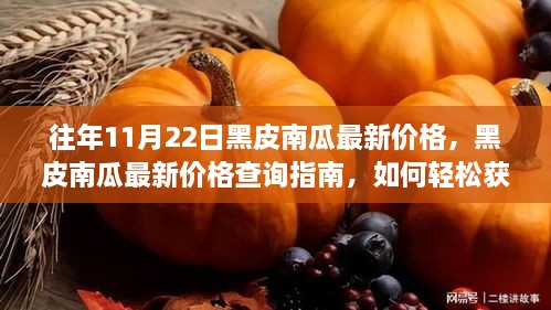 往年11月22日黑皮南瓜价格回顾与查询指南，轻松获取最新价格信息