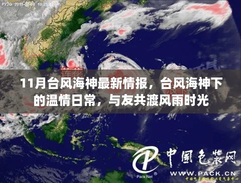 台风海神下的温情日常，风雨共度时光揭秘最新情报