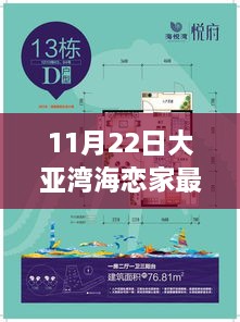 大亚湾海恋家最新房价动态，11月22日的观察与思考