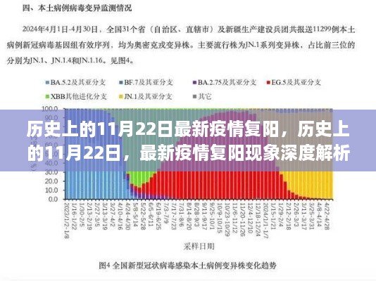 历史上的11月22日疫情复阳现象深度解析与最新动态关注