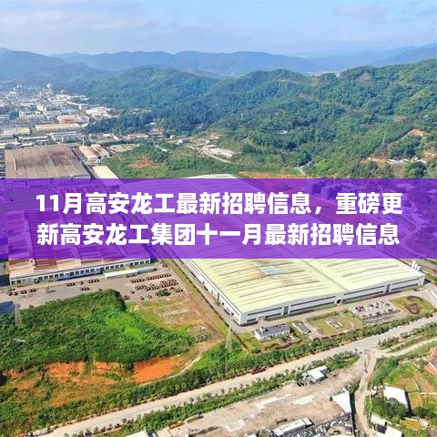 11月高安龙工最新招聘信息大揭秘，职业梦想从这里起航！