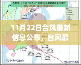 台风最新信息公布指南，从初学者到进阶用户的步骤指南（11月22日更新）