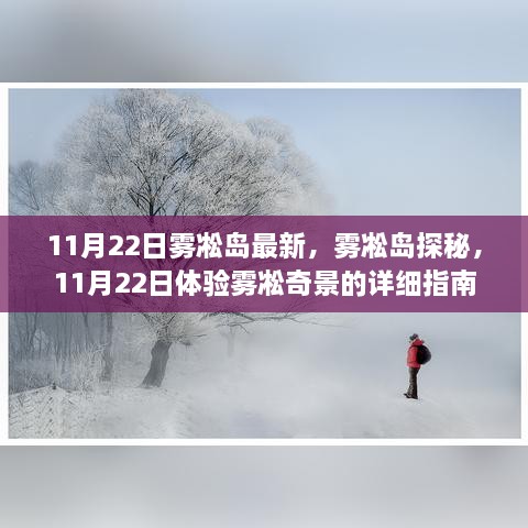 雾凇岛探秘，11月22日体验雾凇奇景的详细指南