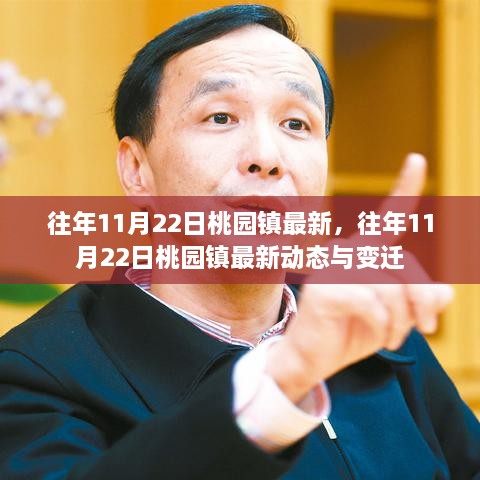 往年11月22日桃园镇最新动态回顾，变迁与最新发展概况