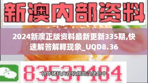 2024新澳正版资料最新更新335期,快速解答解释现象_UQD8.36