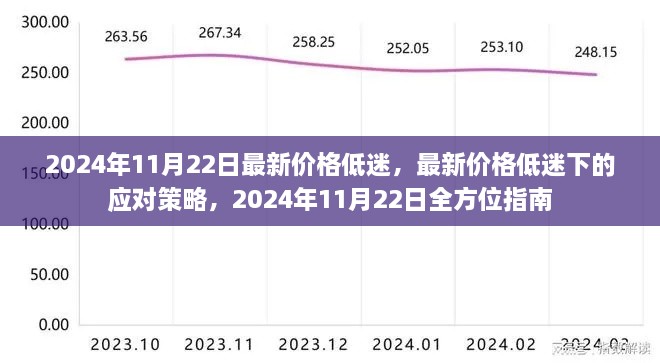 2024年11月22日最新价格低迷，最新价格低迷下的应对策略，2024年11月22日全方位指南