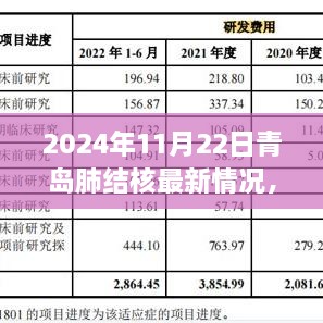 青岛肺结核最新动态，深度报告与回顾展望（2024年11月22日）