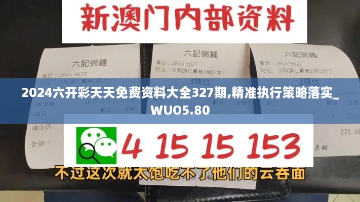 2024六开彩天天免费资料大全327期,精准执行策略落实_WUO5.80