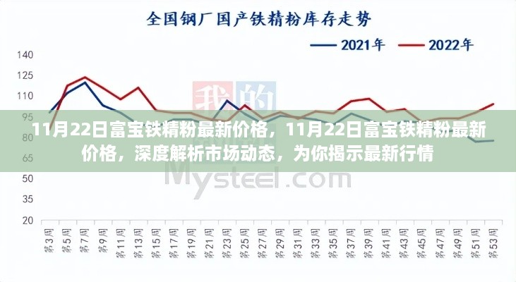 最新行情解析，富宝铁精粉价格动态及市场动态深度解读（11月22日）