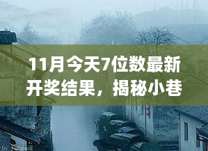 隐藏在数字背后的神秘小店，揭秘11月今日7位数开奖与小巷深处的独特风味