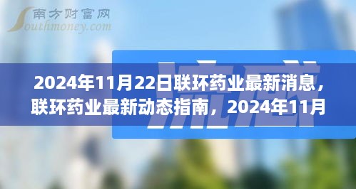 联环药业最新动态解析与任务执行教程（2024年11月22日版）