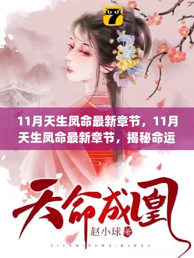 揭秘命运之谜与人生转折，11月天生凤命的最新章节解析