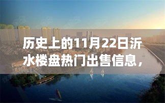 历史上的11月22日沂水楼盘热销日，全面解析出售信息及购房指南