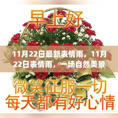 11月22日表情雨，自然美景的心灵之旅