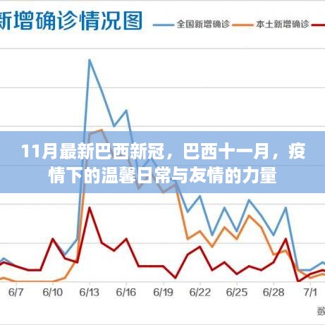 巴西十一月疫情下的温馨日常，友情力量与抗疫之路