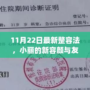 11月22日最新整容法，小丽的新容颜与友情魔法的温馨之旅