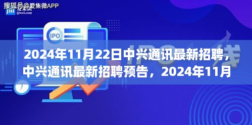 2024年11月22日中兴通讯最新招聘预告，职业机遇与挑战一览