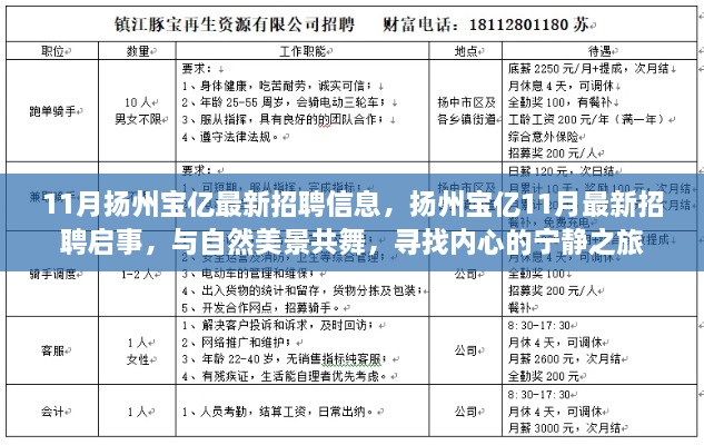 扬州宝亿最新招聘启事，与自然美景共舞，探寻内心的宁静之旅