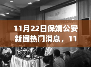 11月22日保靖公安新闻热点解析与热门消息速递