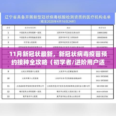 11月新冠病毒最新动态与疫苗预约接种全攻略，适合初学者与进阶用户