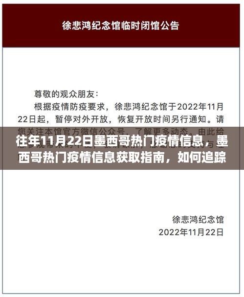 如何获取往年11月22日墨西哥疫情信息，指南与追踪数据技巧（初学者与进阶用户适用）