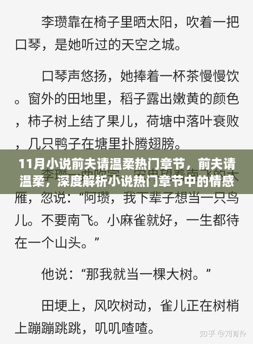 前夫请温柔，深度解析情感纠葛与道德立场