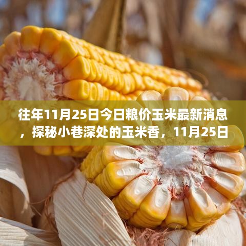 探秘玉米香，揭秘11月25日粮价玉米最新动态与故事