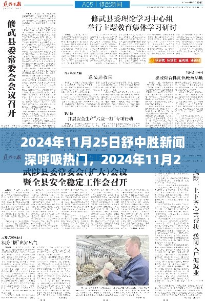 舒中胜新闻深呼吸热点大解析，深度解读2024年11月25日热点新闻