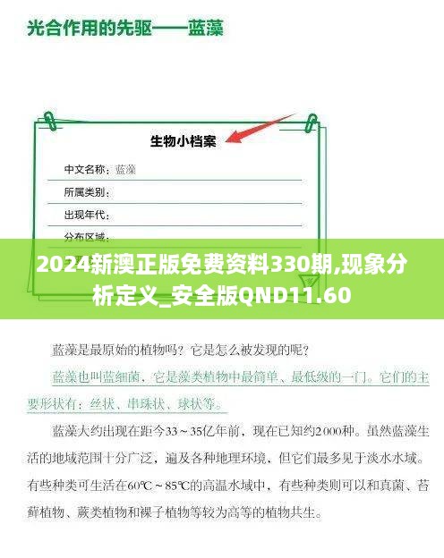 2024新澳正版免费资料330期,现象分析定义_安全版QND11.60