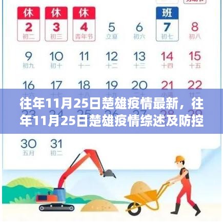 往年11月25日楚雄疫情综述，最新动态与防控要点解析