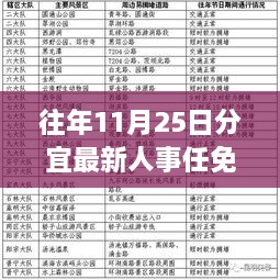 往年11月25日分宜人事任免动态及解读，最新名单公布！