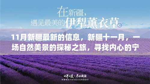 新疆十一月探秘之旅，自然美景中寻找内心的宁静与平和