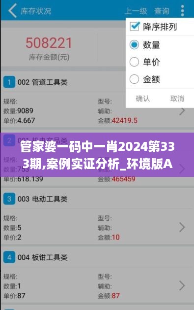 管家婆一码中一肖2024第333期,案例实证分析_环境版APE11.31