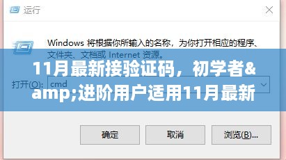 初学者与进阶用户适用的11月最新接验证码操作全攻略