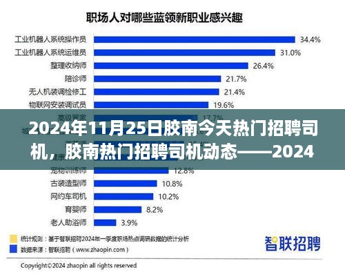 胶南热门招聘司机动态，求职指南与行业聚焦（2024年11月25日）