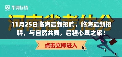 临海最新招聘启幕，与自然共舞的心灵之旅！