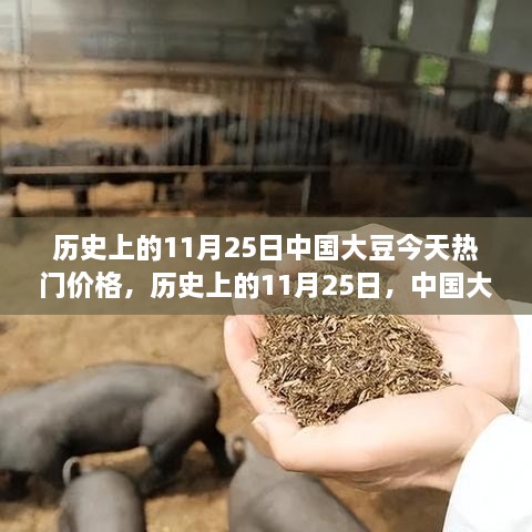 历史上的11月25日中国大豆价格变迁，背后的励志故事与今日热门行情探讨